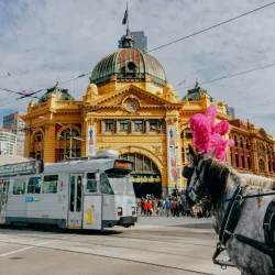 white tram near brown and yellow dome of Flinders Street Station, Melbourne